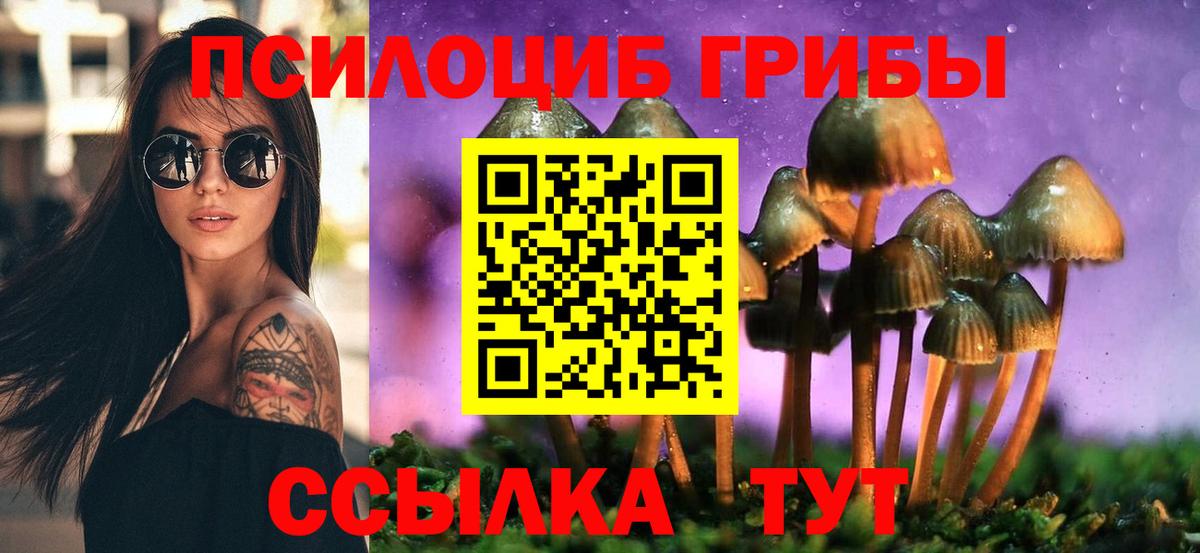 Псилоцибиновые грибы GOLDEN TEACHER Дивногорск