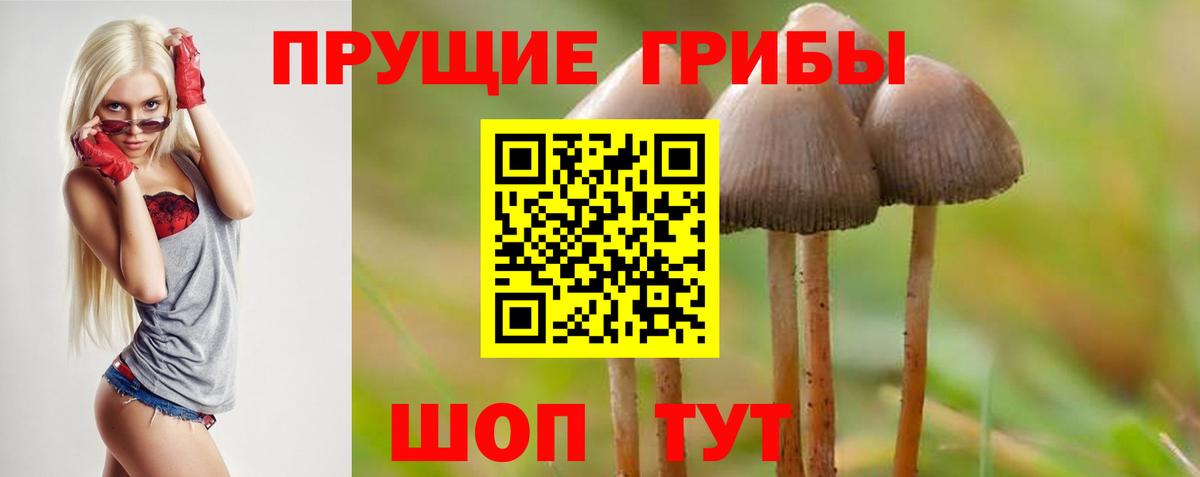 Псилоцибиновые грибы ЛСД  Галлюциногенные грибы GOLDEN TEACHER  Дивногорск  Вход с VPN 