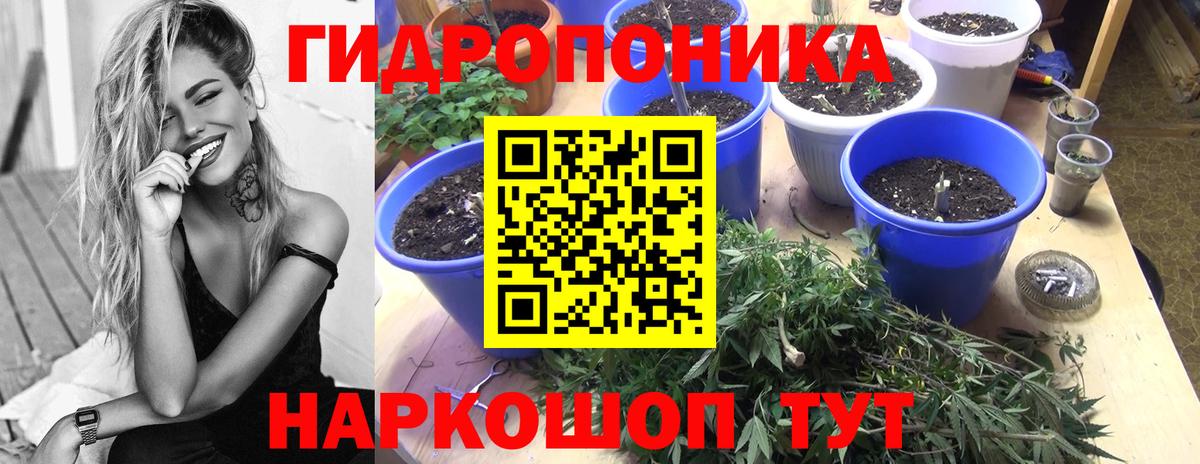 Конопля Дивногорск